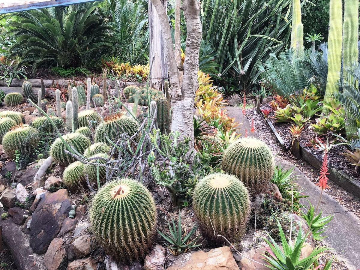 Ancient Gardens Guesthouse&Botanical Gardens Eudlo Extérieur photo