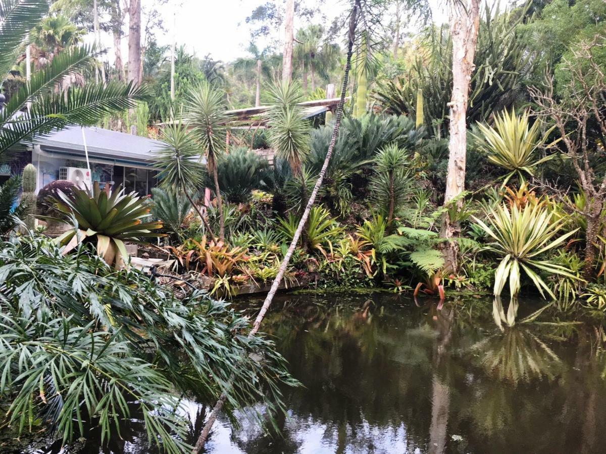 Ancient Gardens Guesthouse&Botanical Gardens Eudlo Extérieur photo